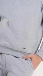 Gray Dove Silver Hoodie
